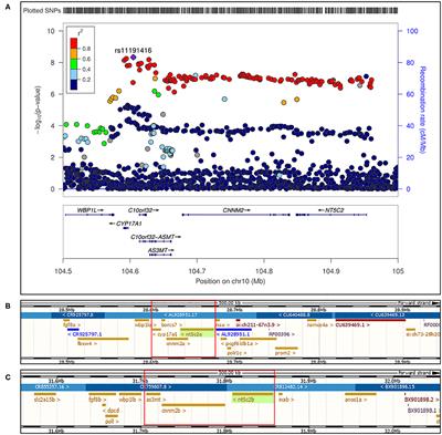 Studies in Zebrafish Demonstrate That CNNM2 and NT5C2 Are Most Likely the Causal Genes at the Blood Pressure-Associated Locus on Human Chromosome 10q24.32